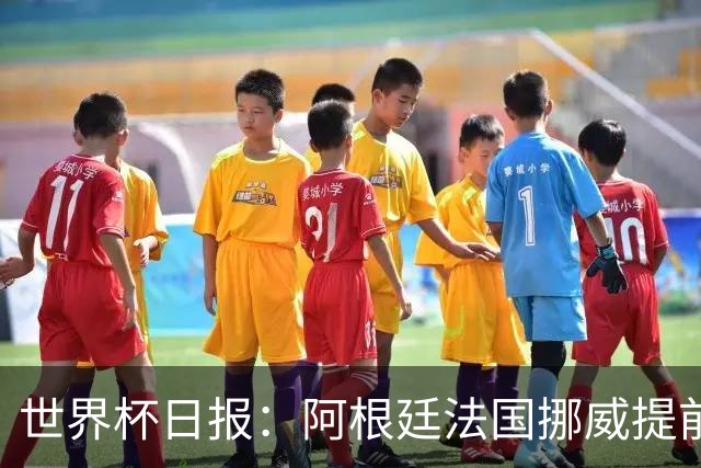 世界杯日报：阿根廷法国挪威提前出线 约旦两连败出局