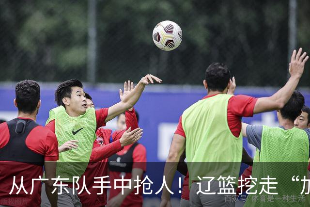 从广东队手中抢人！辽篮挖走“加强版杜润旺”，杜锋痛失锋线新星
