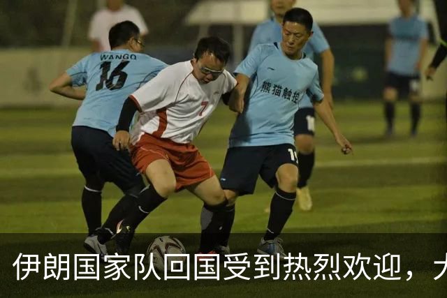 伊朗国家队回国受到热烈欢迎，大批球迷接机