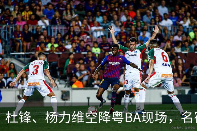 杜锋、杨力维空降粤BA现场，名宿盛赞中山主场氛围“超乎想象”